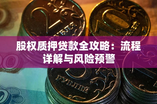武汉股权质押贷款全攻略：流程详解与风险预警