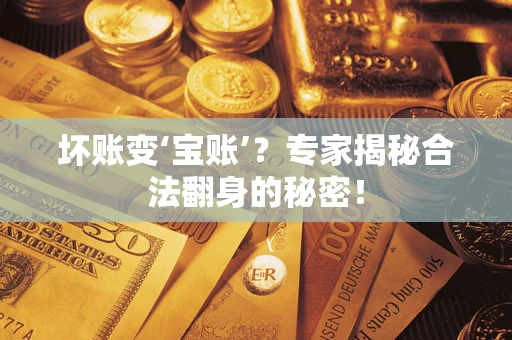 武汉坏账变‘宝账’？专家揭秘合法翻身的秘密！