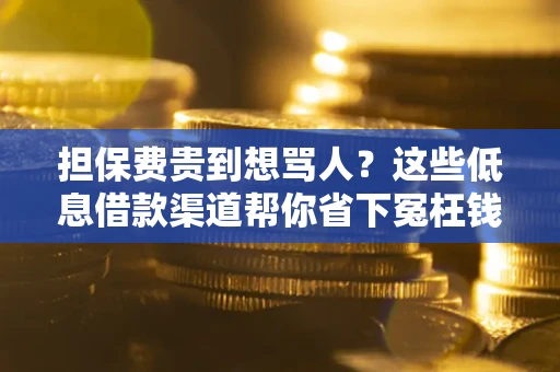 武汉担保费贵到想骂人？这些低息借款渠道帮你省下冤枉钱