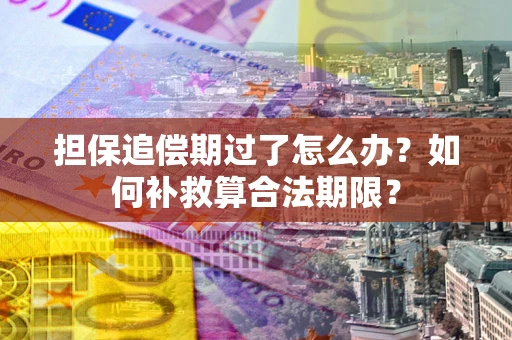 武汉担保追偿期过了怎么办？如何补救算合法期限？