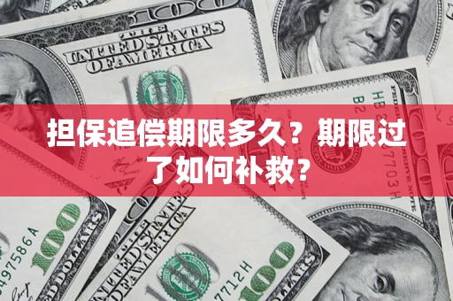 武汉担保追偿期限多久？期限过了如何补救？