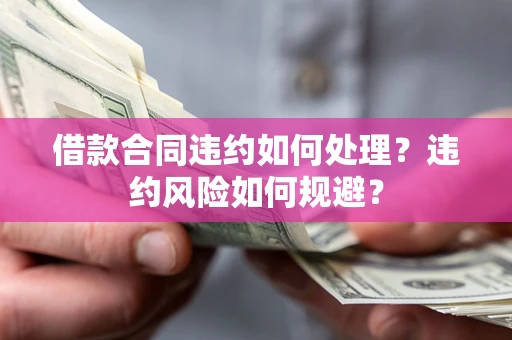武汉借款合同违约如何处理？违约风险如何规避？