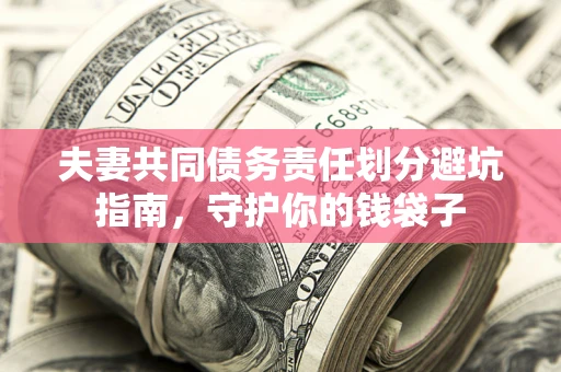 武汉夫妻共同债务责任划分避坑指南，守护你的钱袋子
