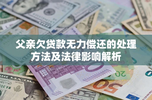 武汉父亲欠贷款无力偿还的处理方法及法律影响解析